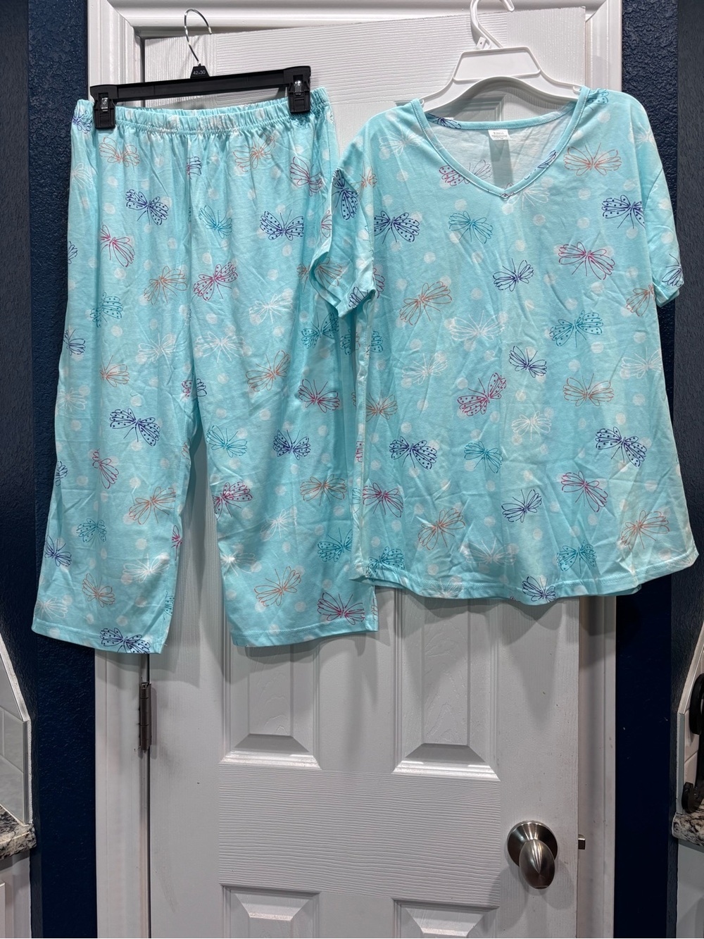 Woman Light Blue Dragonfly Pajama Set - Short Sleeve Top & Capris - Picture 1 of 3